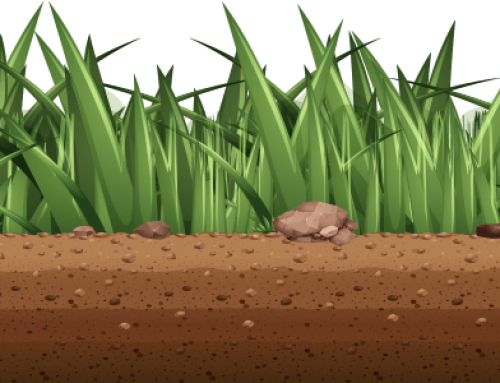 Unser Garten Eden – preparing for winter – october 19th 2025