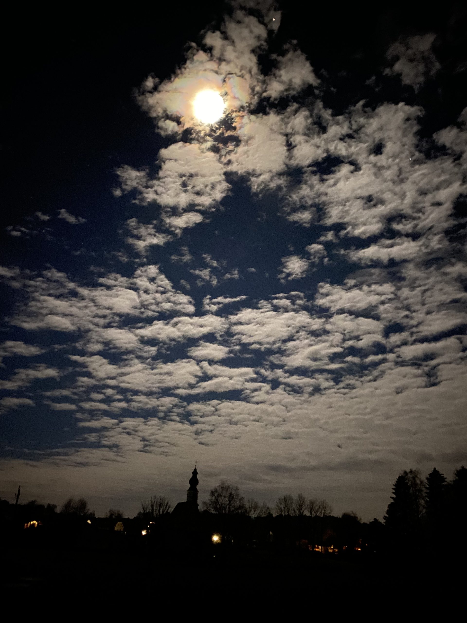 Paulina ein neuer Stern am Firmament