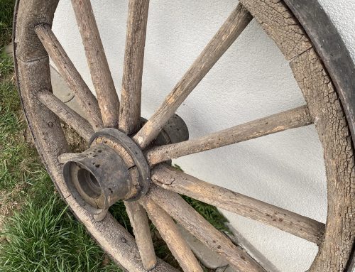 Unser Garten Eden – das Kräuterrad